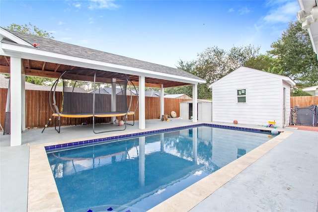 view of swimming pool featuring a shed and a trampoline