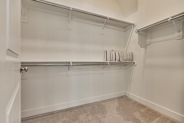 walk in closet featuring light colored carpet