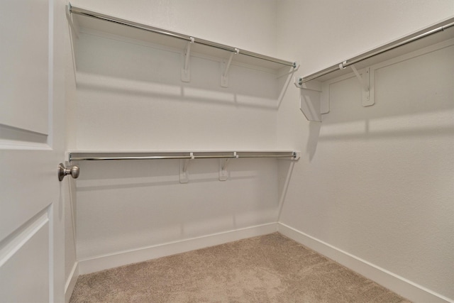 spacious closet with light carpet