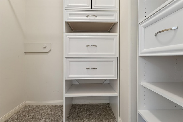 walk in closet with carpet flooring