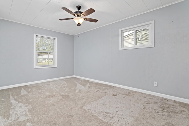 unfurnished room featuring ornamental molding, carpet floors, and ceiling fan