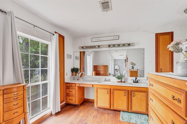 bathroom featuring wood-type flooring and vanity