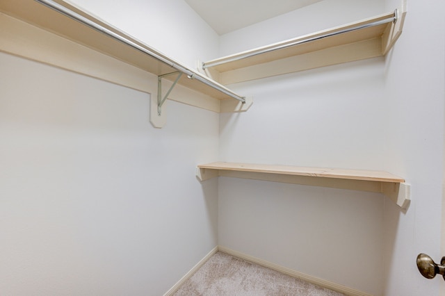 walk in closet with light carpet