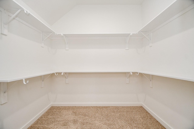 walk in closet with carpet