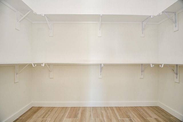 spacious closet featuring wood-type flooring