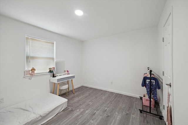 miscellaneous room featuring hardwood / wood-style flooring