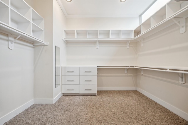 walk in closet featuring light carpet