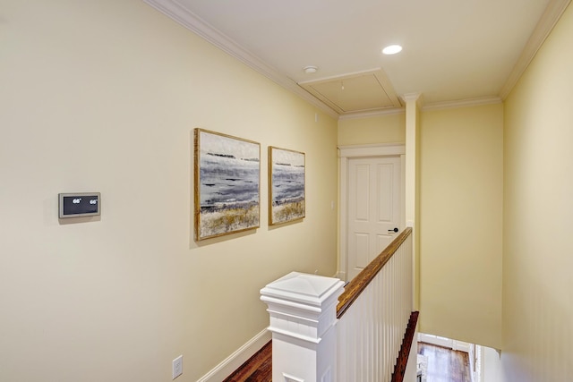 corridor with crown molding and dark hardwood / wood-style floors