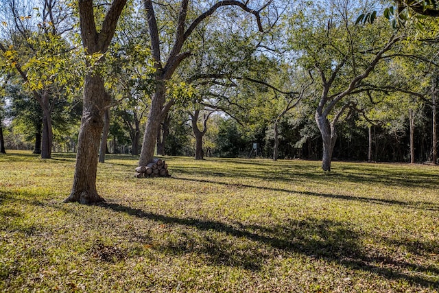 Listing photo 3 for TBD Zettel Rd, New Ulm TX 78950