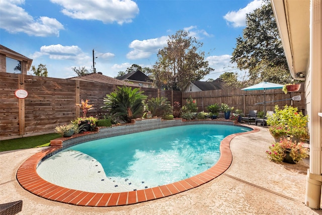 view of swimming pool with a patio area