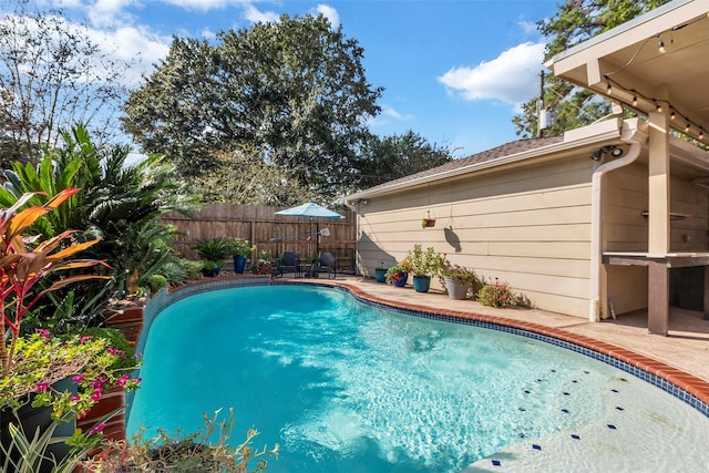 view of swimming pool featuring a patio