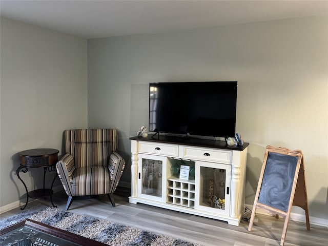 living area featuring wood-type flooring