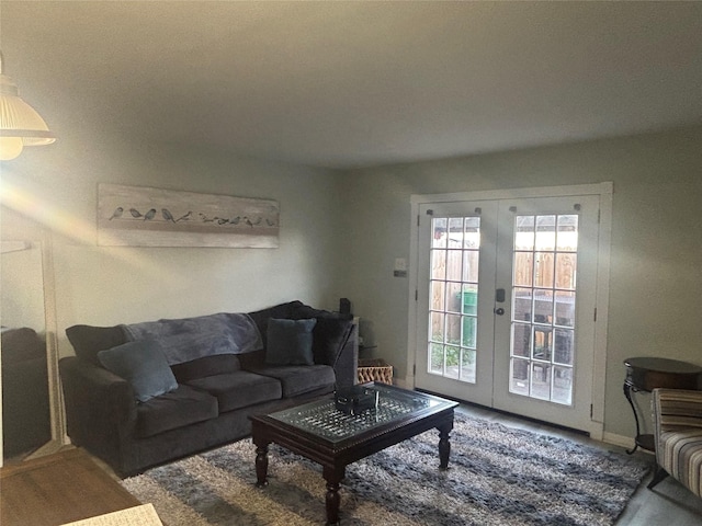 living room featuring french doors