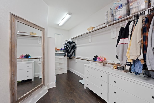 spacious closet with dark hardwood / wood-style floors