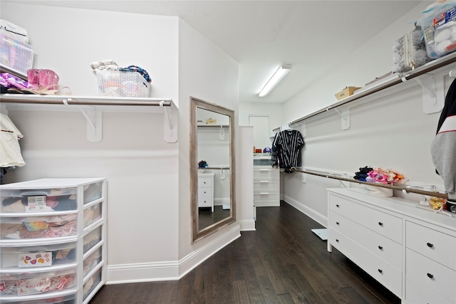 walk in closet featuring dark hardwood / wood-style flooring