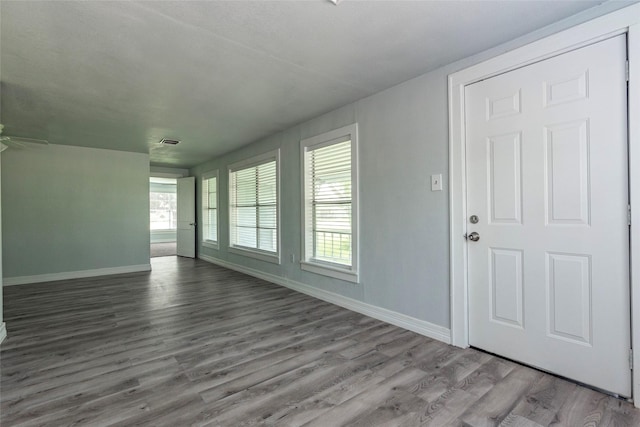 interior space featuring wood-type flooring, ceiling fan, and plenty of natural light