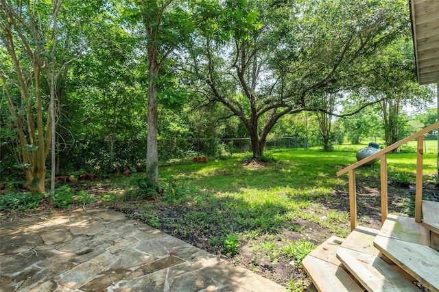 view of yard with a patio