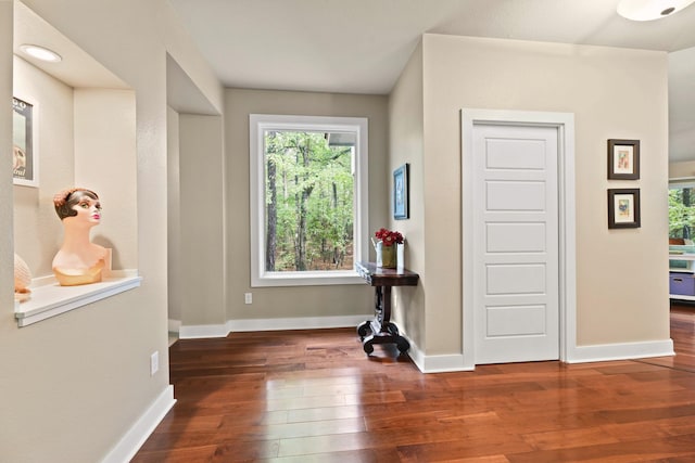 interior space with dark hardwood / wood-style flooring