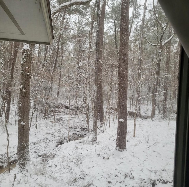 view of snowy landscape