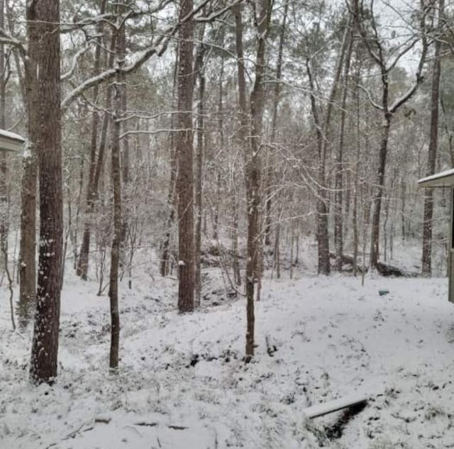 view of snowy landscape