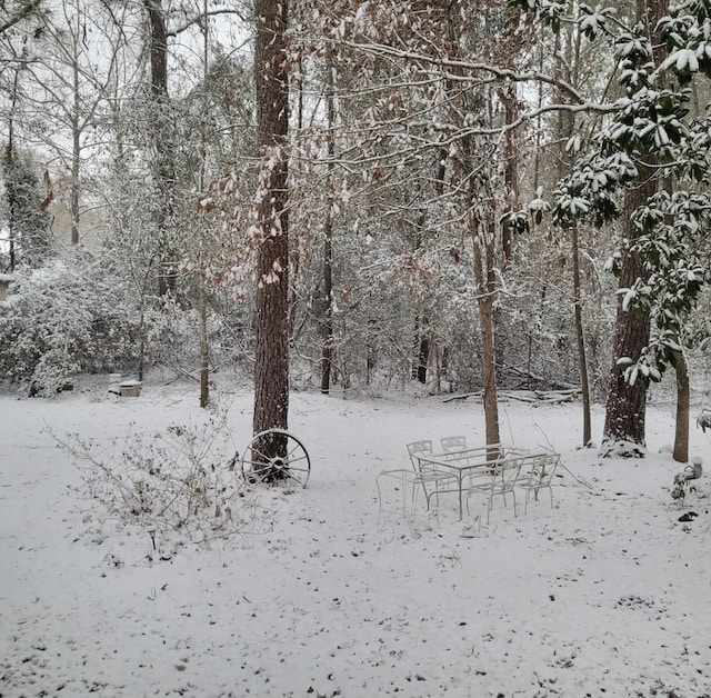 view of snowy yard