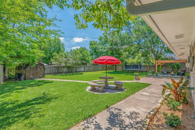 view of yard featuring a patio area, a storage unit, and a trampoline