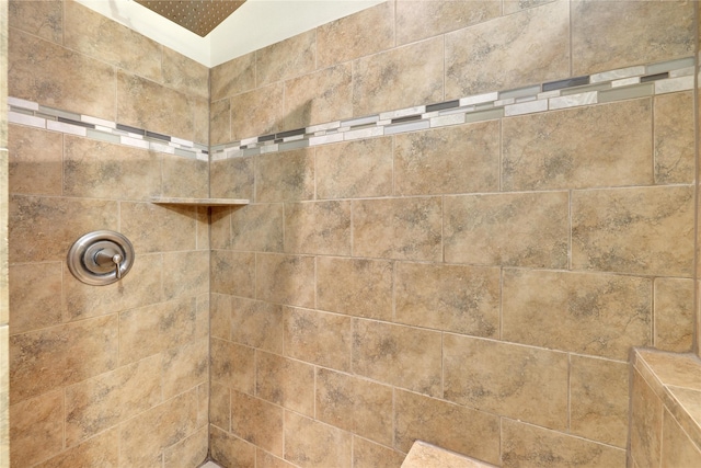 interior details with tiled shower