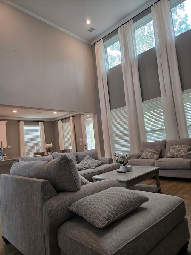 living room with a towering ceiling, crown molding, and dark wood-type flooring