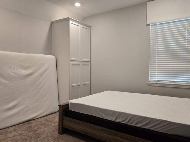 carpeted bedroom featuring a closet