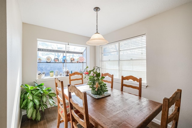 dining room with dark hardwood / wood-style flooring