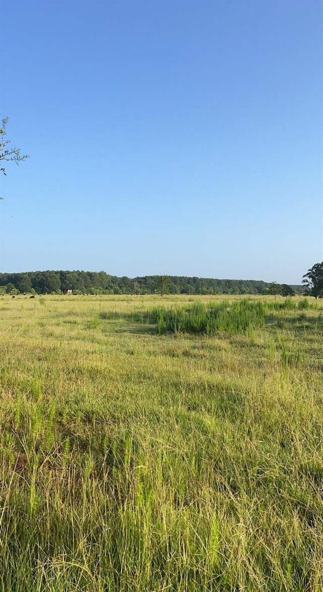 TBD County Road 2276, Cleveland TX, 77327 land for sale