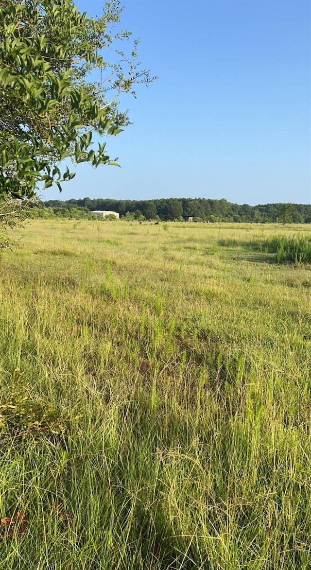 Listing photo 2 for TBD County Road 2276, Cleveland TX 77327