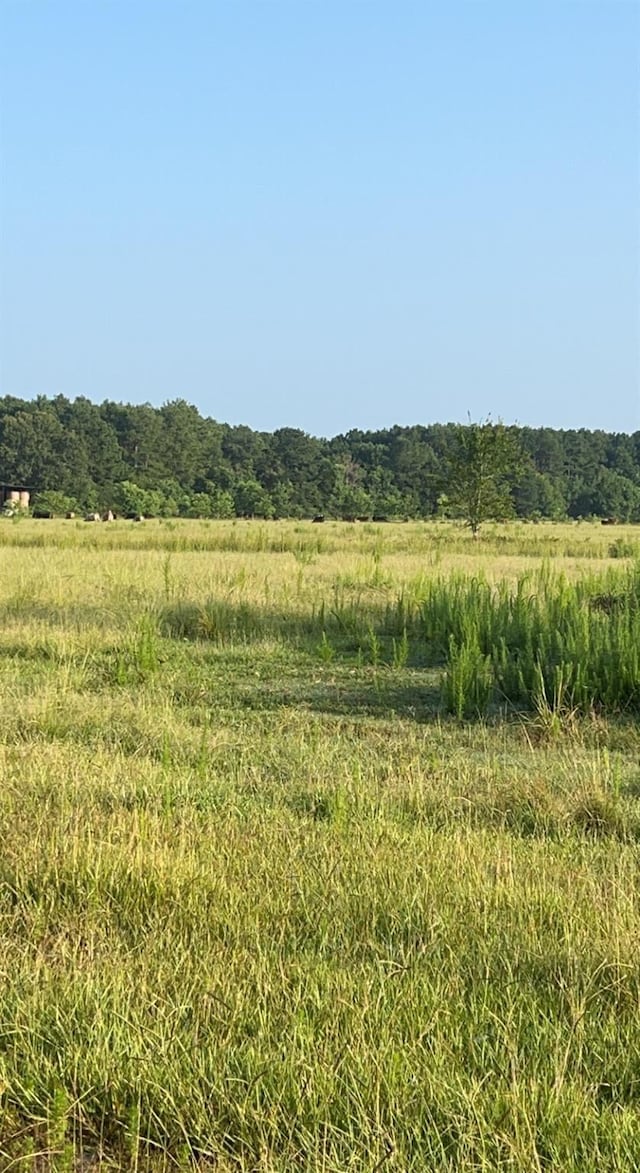 Listing photo 3 for TBD County Road 2276, Cleveland TX 77327