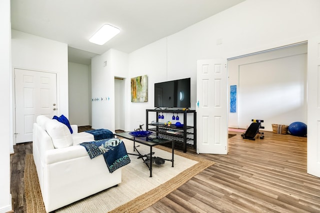 living room featuring wood-type flooring