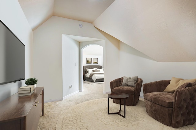 living area with lofted ceiling and light carpet