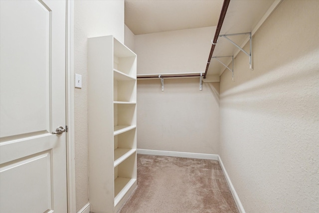 spacious closet with carpet