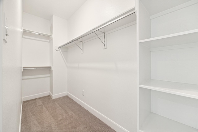 spacious closet featuring light carpet