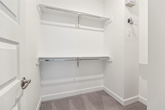 spacious closet featuring carpet floors