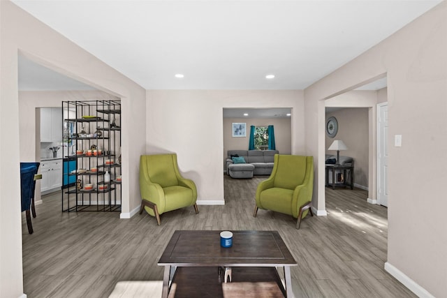 living room featuring light wood-type flooring