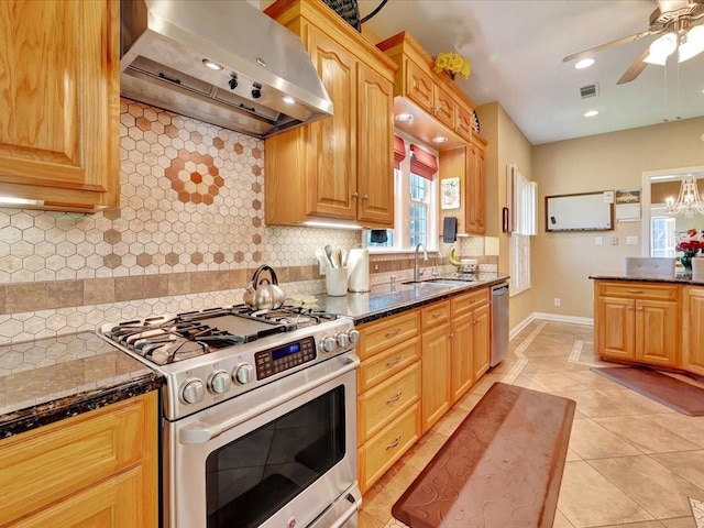 kitchen with sink, range hood, tasteful backsplash, and stainless steel appliances