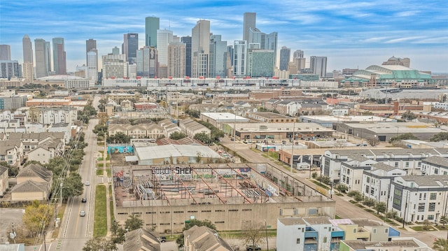 1211 Ennis St, Houston, TX 77003 - city view