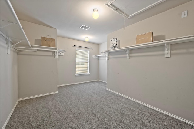 walk in closet with dark colored carpet