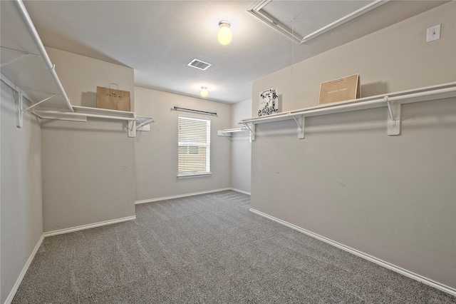1211 Ennis St, Houston, TX 77003 - walk in closet featuring carpet flooring