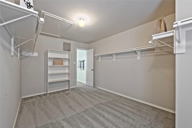 walk in closet with carpet floors