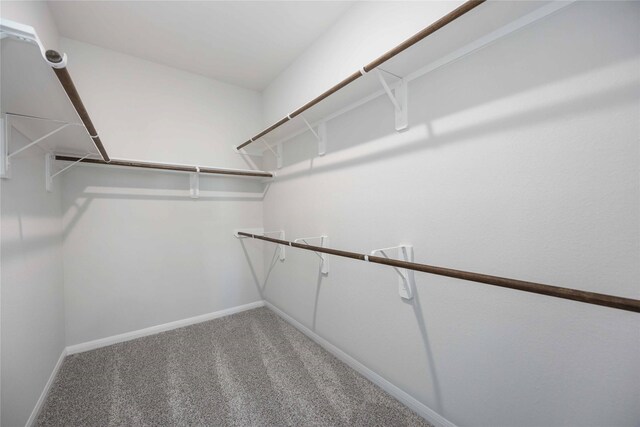 walk in closet featuring carpet