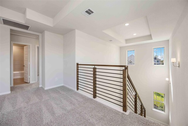 interior space with light colored carpet, a wealth of natural light, and a tray ceiling