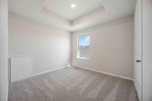 spare room with a raised ceiling and carpet floors