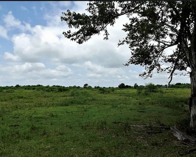 00 Orange Hill Rd, Sealy TX, 77474 land for sale