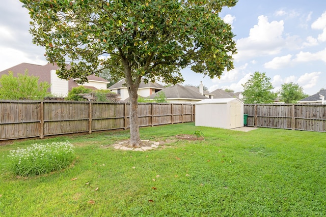 view of yard with a storage unit