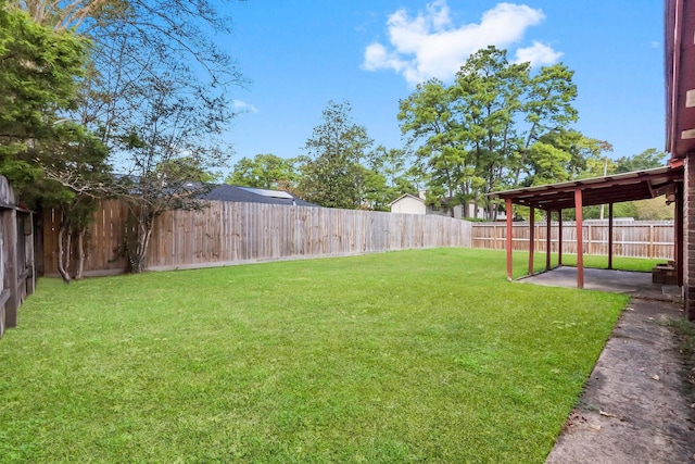 view of yard featuring a patio area